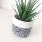 Fabric Pot Succulent