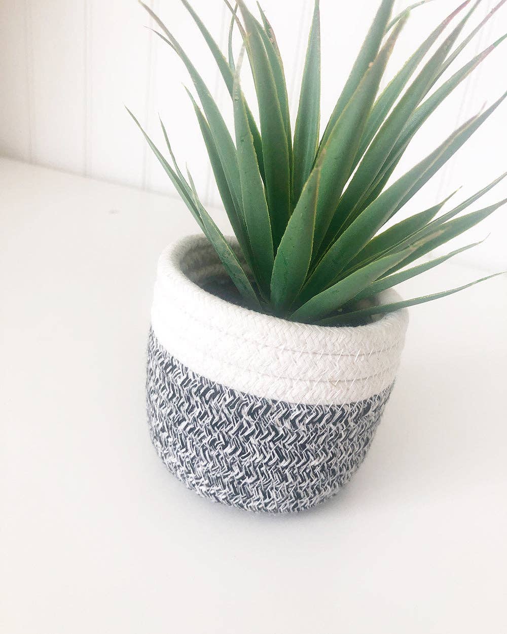 Fabric Pot Succulent